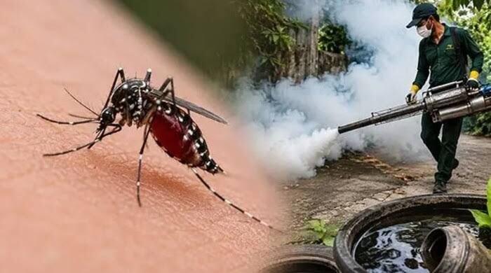 Dengue deaths reach 79 as cases top 105,000; 28 more high-risk areas