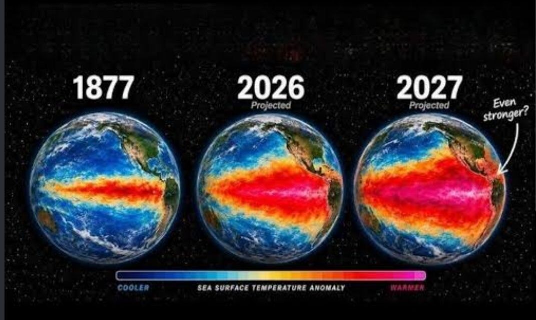 El Nino sets Pacific temperature record, EU monitor says