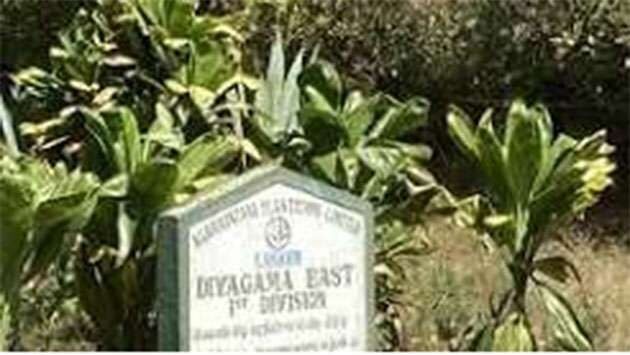 Government moves to declare Diyagama forest a reserve