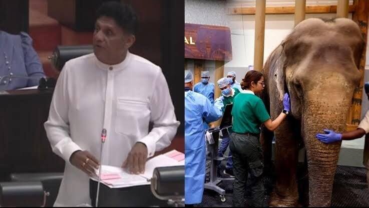 Kavantissa killing: Sajith urges tusker task force, wildlife hospital