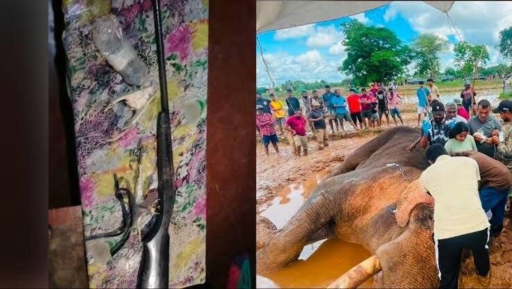 Suspect held with two firearms over Kavantissa tusker shooting