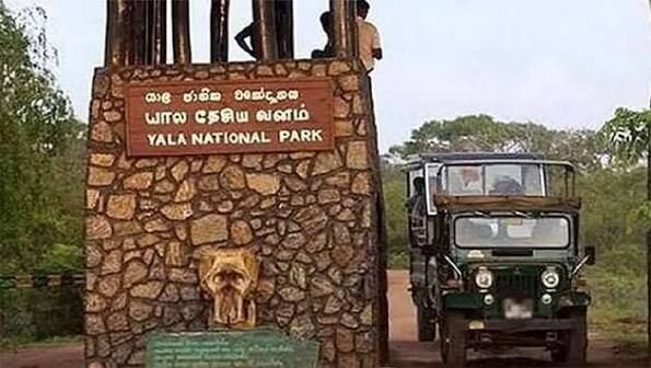 Yala National Park Zones 1 and 2 reopen on 16 October